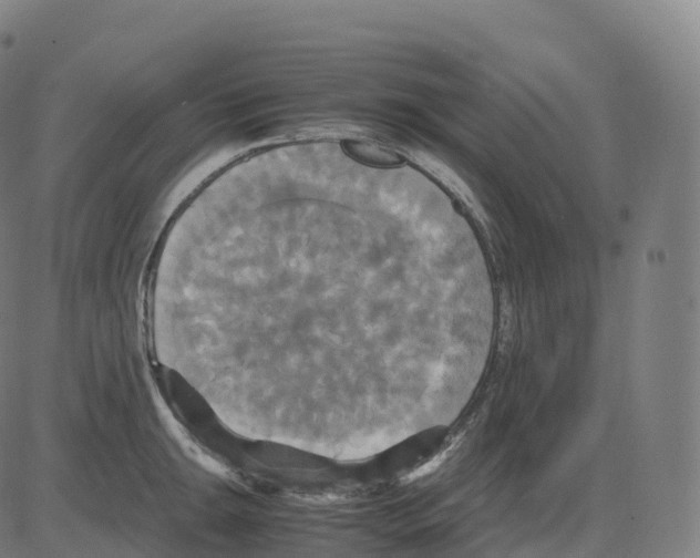 X0000083641047200703121714