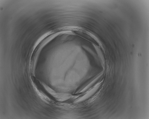 X0000083641050200703121714