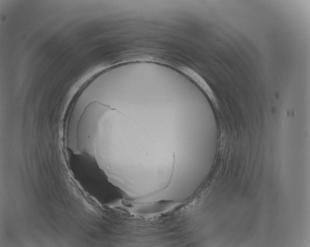 X0000083641051200703121715