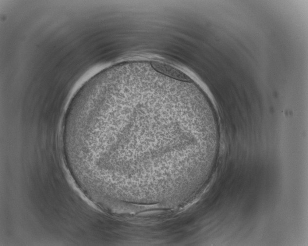 X0000083641053200703121715