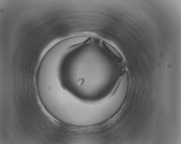 X0000083641054200703121715