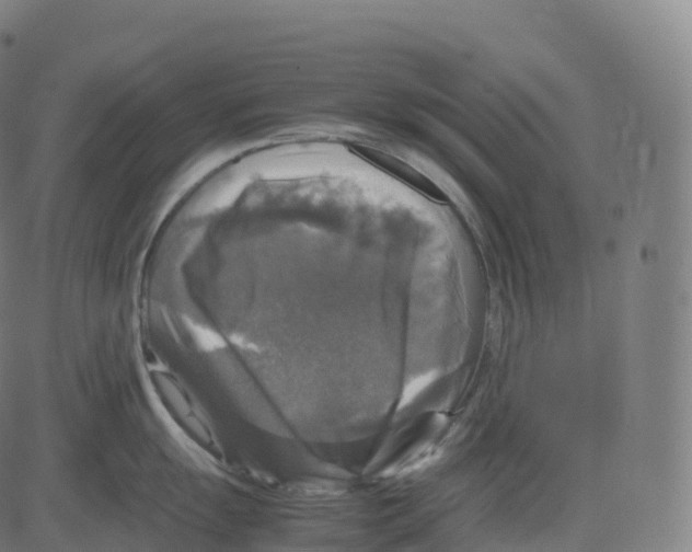 X0000083641055200703121715