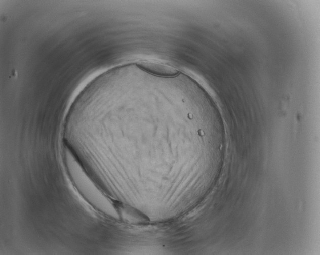 X0000083641056200703121715