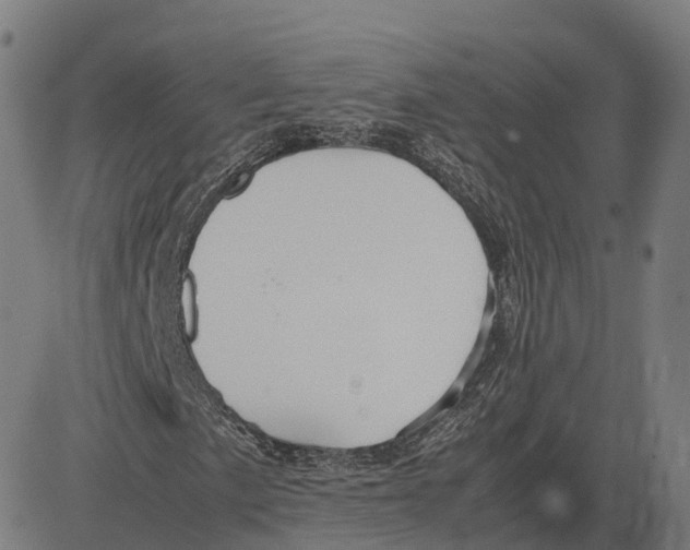 X0000083641057200703121714