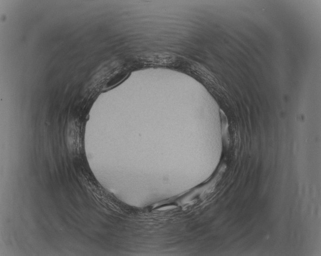 X0000083641058200703121714