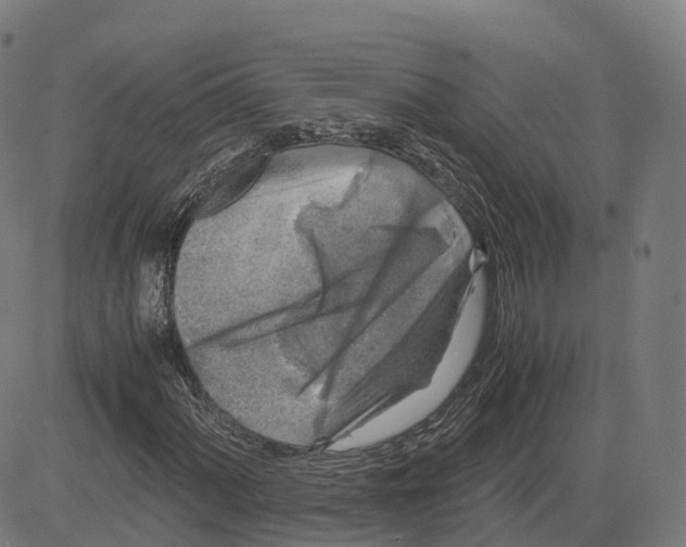 X0000083641060200703121714