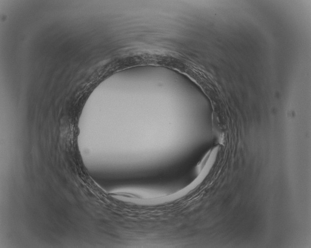 X0000083641061200703121714