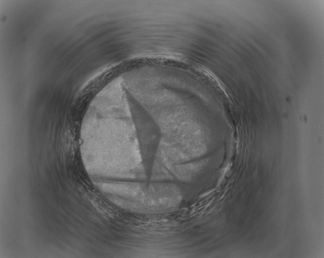 X0000083641064200703121714