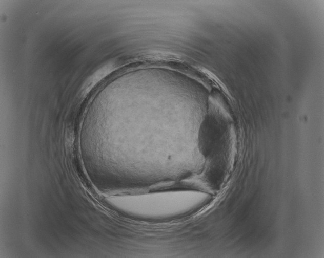 X0000083641065200703121714