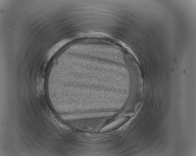 X0000083641066200703121714