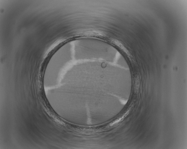 X0000083641071200703121714