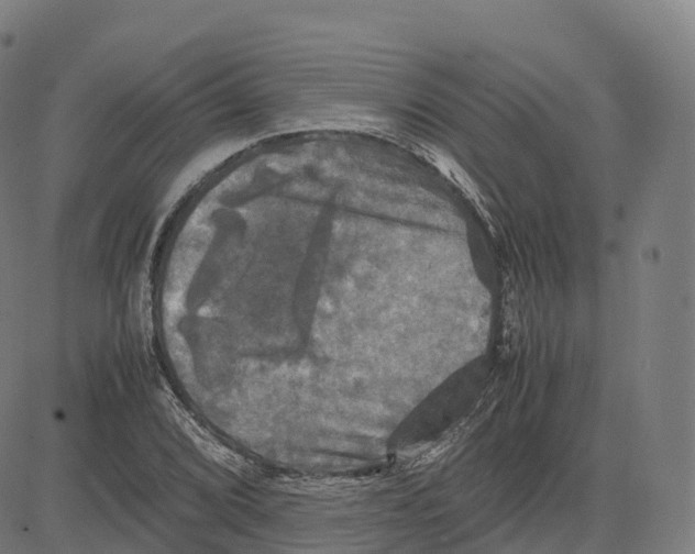 X0000083641072200703121714