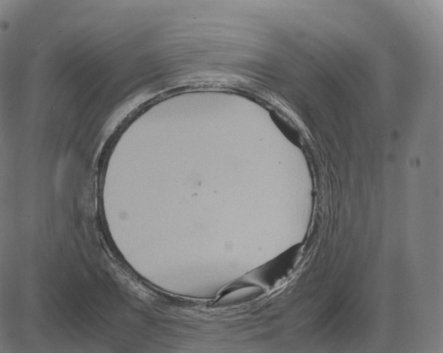 X0000083641075200703121713