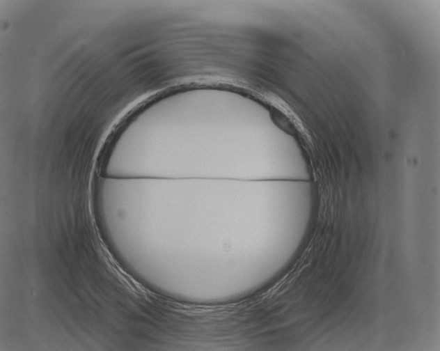 X0000083641076200703121713