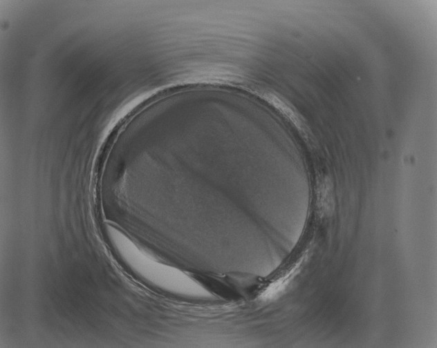 X0000083641077200703121713