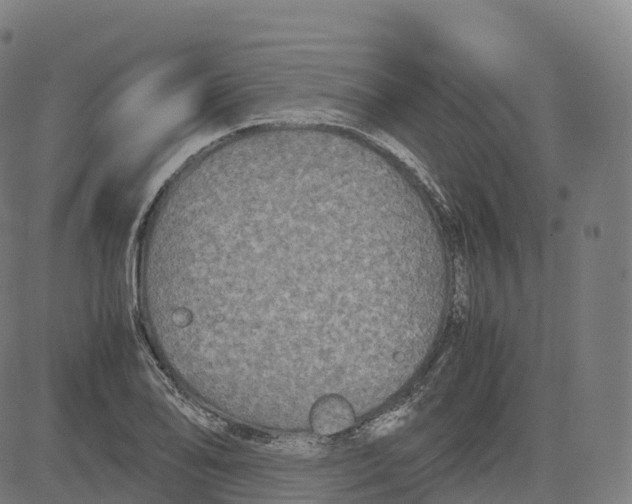 X0000083641078200703121713