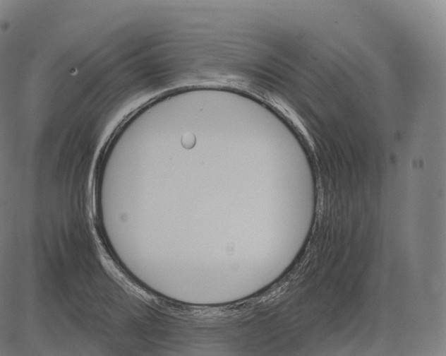 X0000083641080200703121713