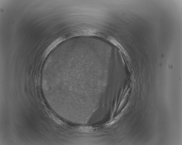 X0000083641081200703121713