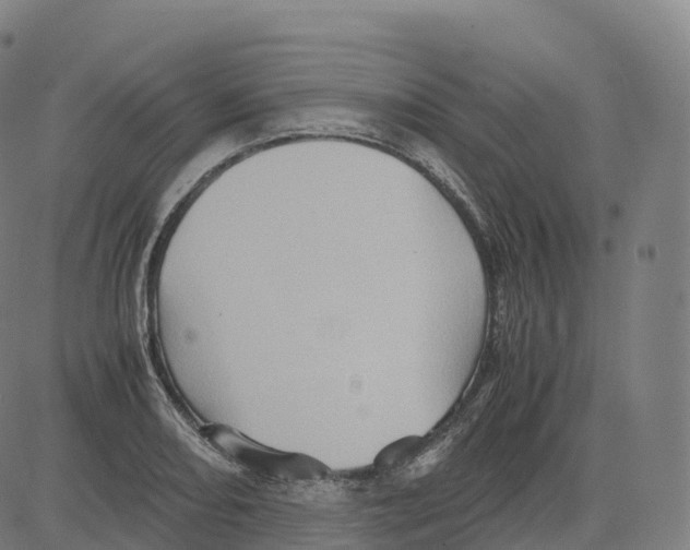 X0000083641082200703121713