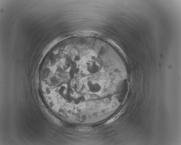 X0000083641083200703121713