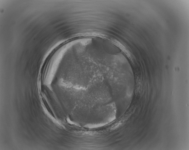 X0000083641084200703121713