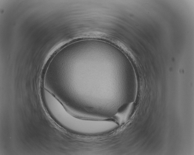 X0000083641085200703121713