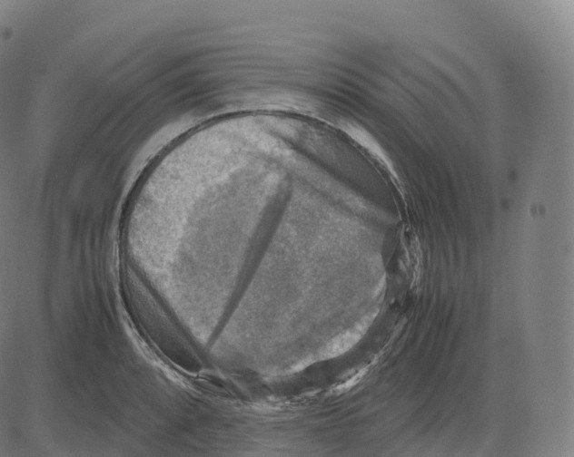 X0000083641088200703121713