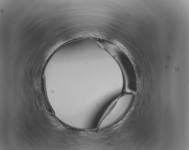 X0000083641089200703121713