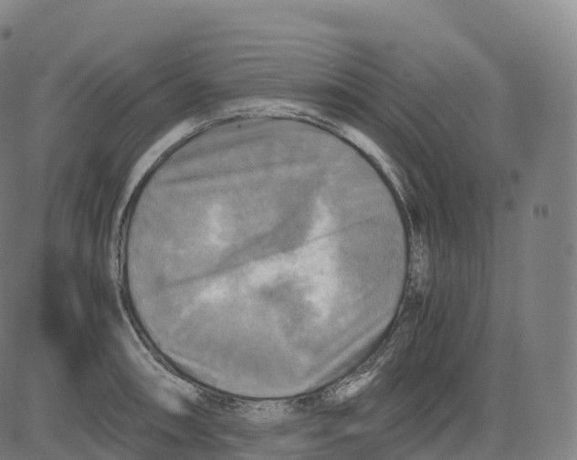 X0000083641090200703121713