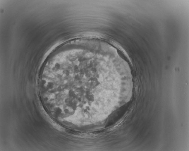 X0000083641091200703121713