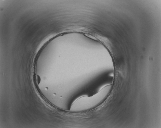 X0000083641093200703121713