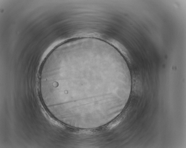 X0000083641094200703121713