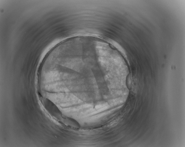 X0000083641096200703121713