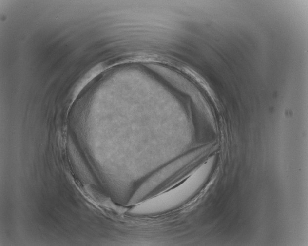 X0000083641097200703121713