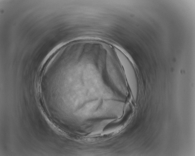 X0000083641101200703121713