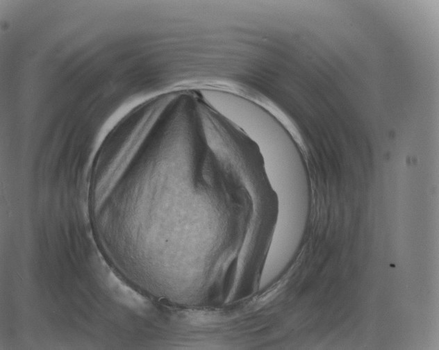 X0000083641102200703121713