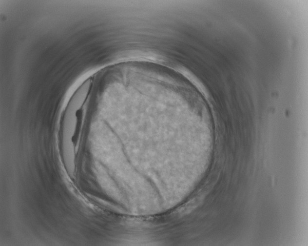 X0000083641104200703121713