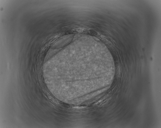 X0000083641105200703121712