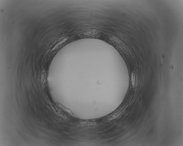 X0000083641107200703121712