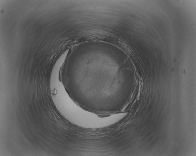 X0000083641108200703121712