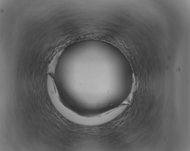 X0000083641109200703121712