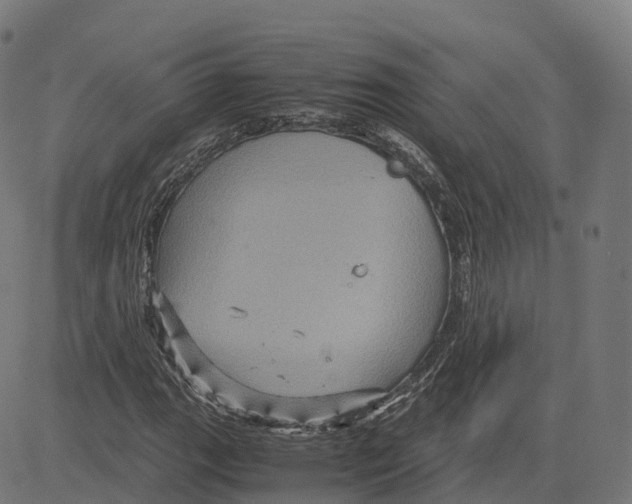 X0000083641111200703121712