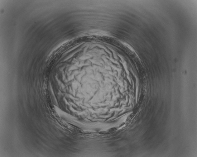 X0000083641112200703121712