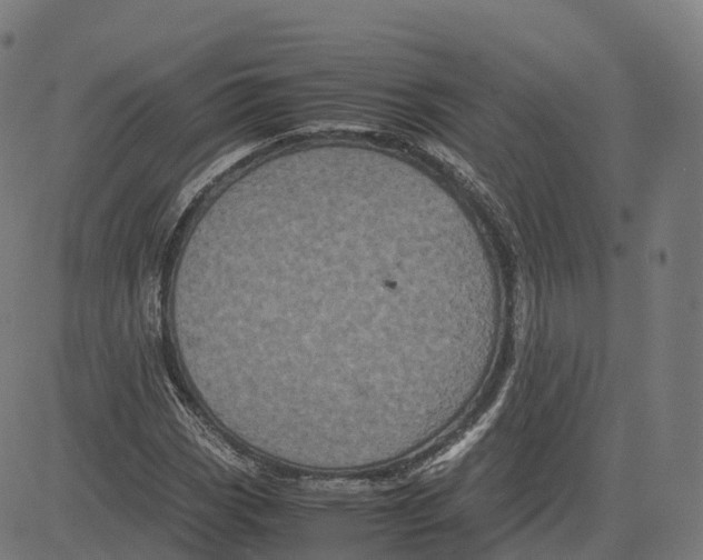 X0000083641113200703121712