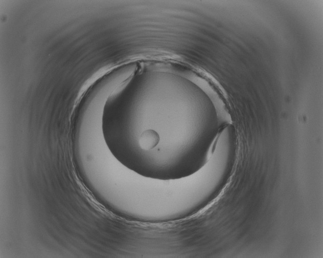 X0000083641114200703121712