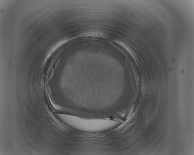 X0000083641115200703121712