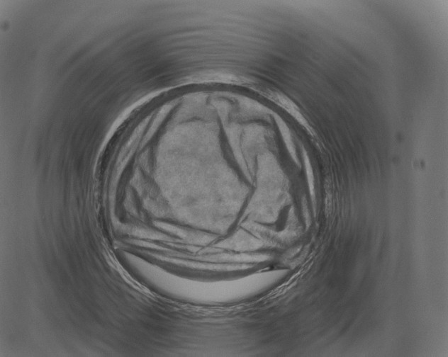 X0000083641116200703121712