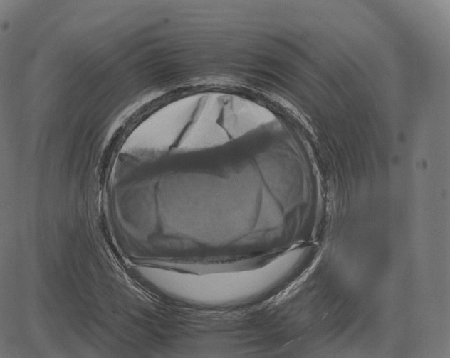 X0000083641117200703121712