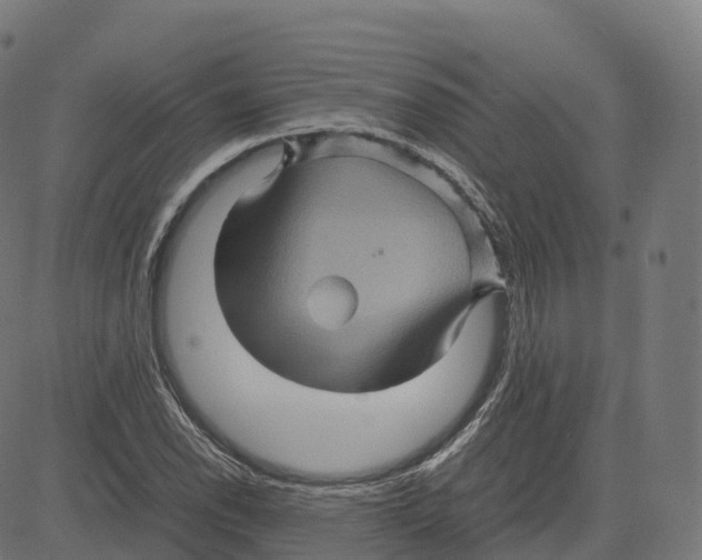 X0000083641118200703121712