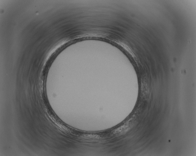 X0000083641119200703121712